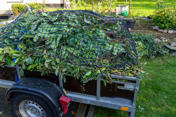 Same-Day Junk Removal Services in River Ridge, FL